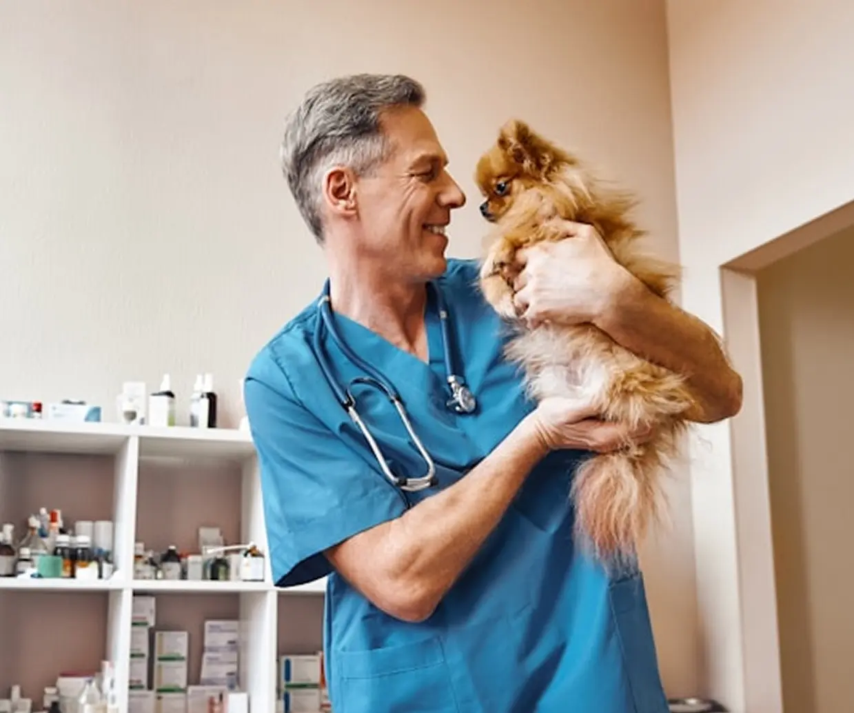 Pet and owner in clinic